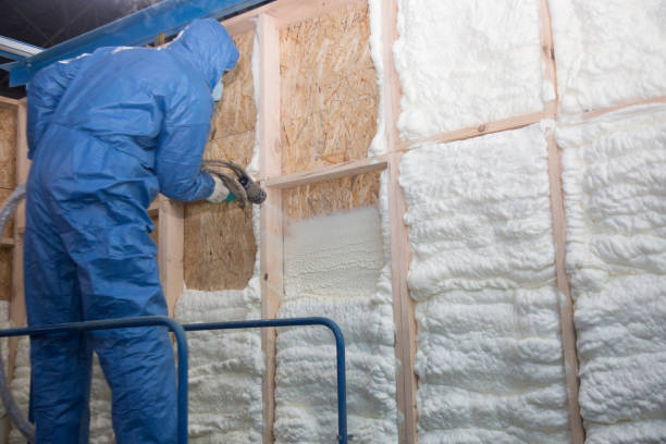 Types of Insulation We Offer in Roseville, CA